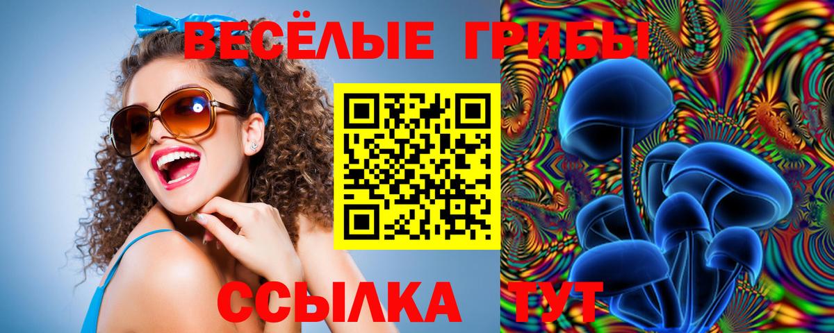 Галлюциногенные грибы Cubensis Чусовой