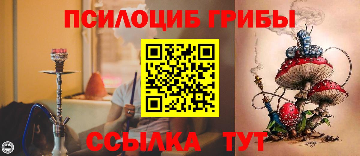 Псилоцибиновые грибы прущие грибы  Вход с VPN  Чусовой 